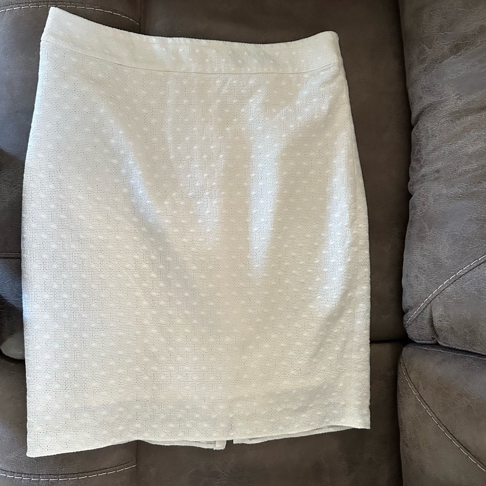 Ann Taylor Skirt